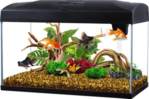 Rect Aquarium - 54-Liter Aquarium-Starterset