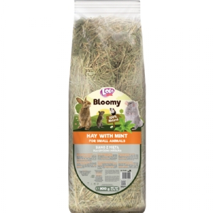 Blommy Heu mit Minze für Kaninchen und Nagetiere 800g